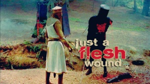 Just-A-Flesh-Wound-monty-python-and-the-holy-grail-4964886-800-450